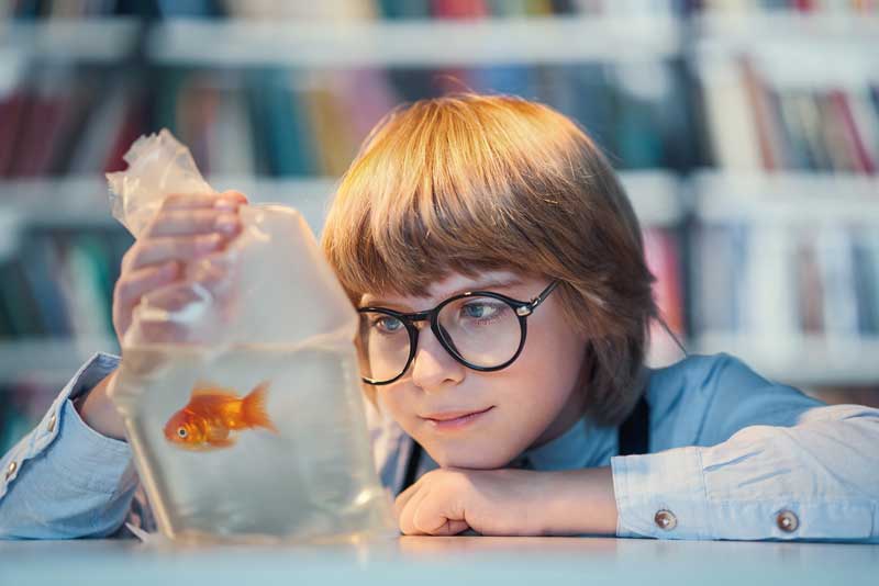 Un niño con gafas mira fijamente un pez dorado dentro de una bolsa de plástico transparente, tal vez contemplando su mundo como si definiera lo que significa. Las estanterías son visibles al fondo, insinuando un cociente intelectual superior.