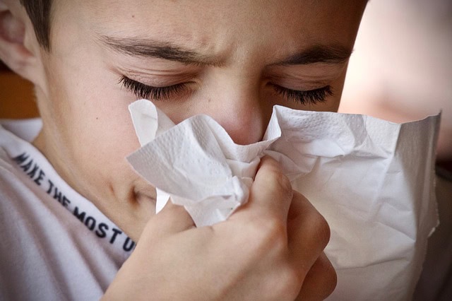 Primer plano de un niño con los ojos cerrados y un pañuelo pegado a la nariz, pareciendo estornudar o sonarse la nariz.