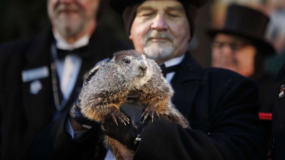 Una persona vestida formalmente sostiene una Marmota, y otras vestidas de manera similar al fondo, probablemente discutiendo su Objetivo Año Nuevo.