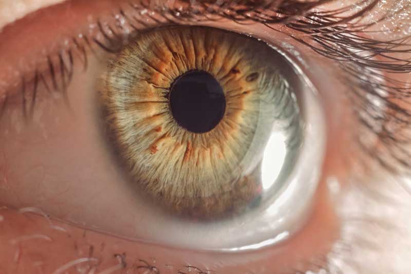 Primer plano de un ojo humano con iris color avellana, que muestra patrones y detalles intrincados de la pupila, el iris y la piel circundante. Esta imagen podría usarse para ilustrar ¿Qué es Terapia Visual? destacando las complejidades que abordan los tratamientos visuales.